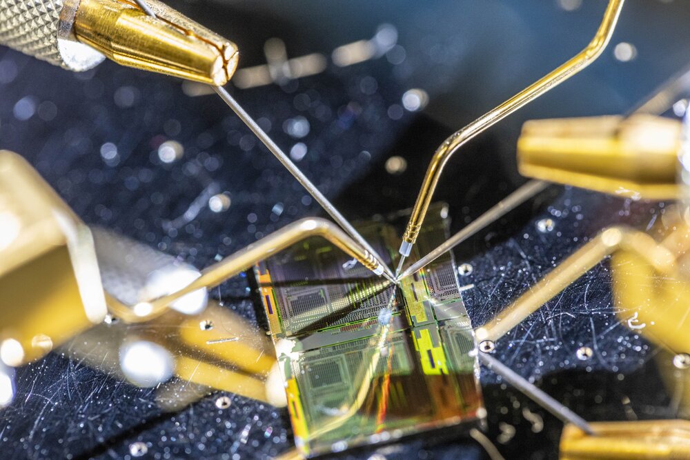 A close-up of a microchip wafer with several gold-coloured measuring probes precisely aligned on it.