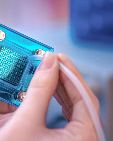 Nahaufnahme von Händen, die ein kleines blau-transparentes technisches Bauteil mit angeschlossenem Schlauch halten.
