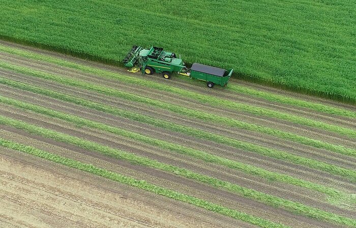 Ein grüner Mähdrescher mit Anhänger bei der Ernte auf einem grünen Feld.