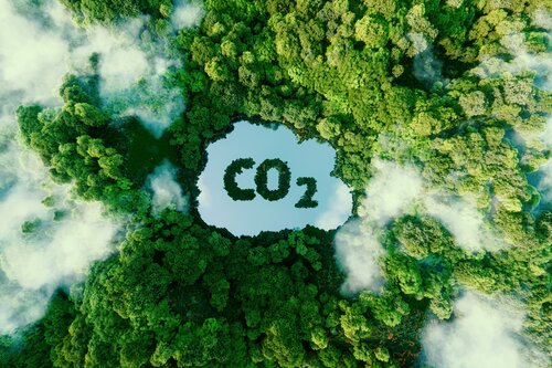 Eine computergenerierte Aufnahme eines Waldes aus der Vogelperspektive, in der Mitte befindet sich ein See in Form einer Wolke auf dem Bäume den Schriftzug CO2 bilden.