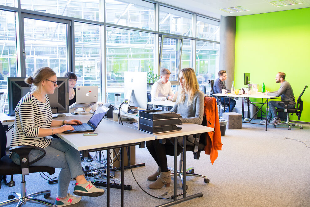Several people are working in a modern office with large windows and a green wall, at desks equipped with laptops and monitors.